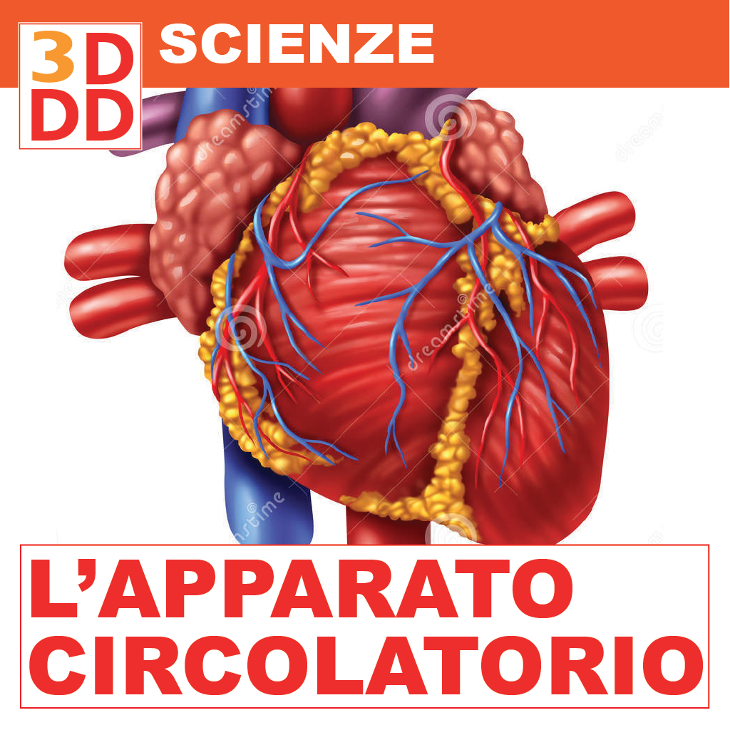 circolatorio