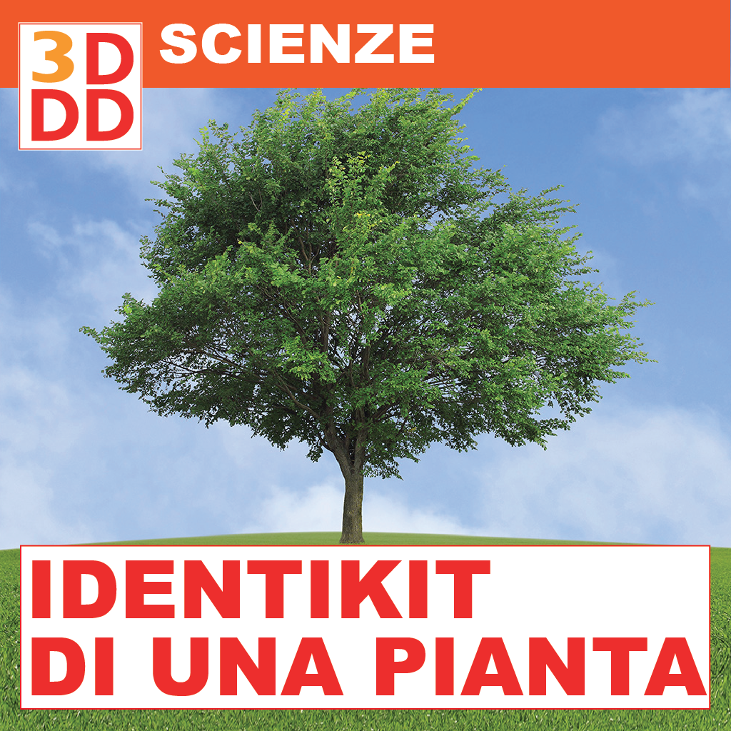 piante